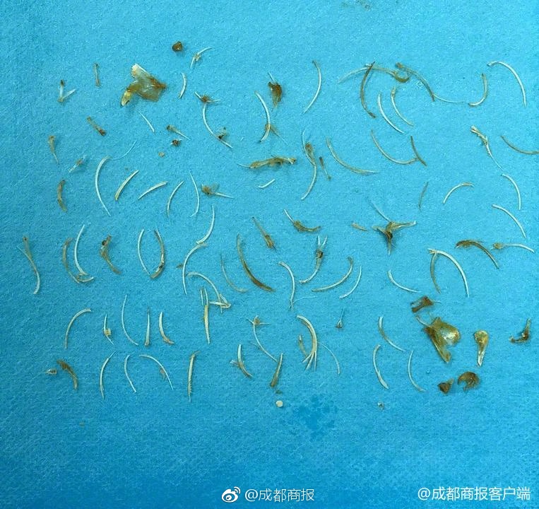 完全不同的贏球模式！凱爾特人三分球61中29&湖人僅30中5